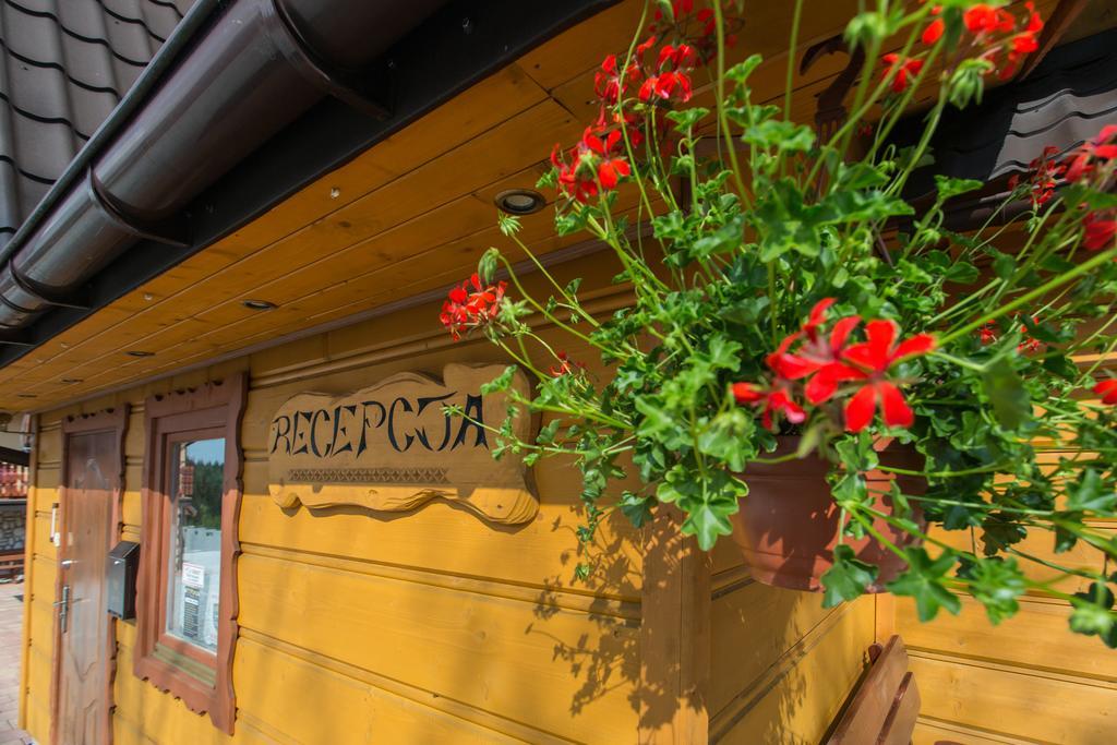 Homestay Stachoniowka
