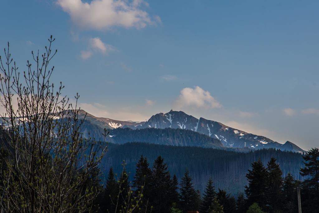 Stachoniowka Homestay *